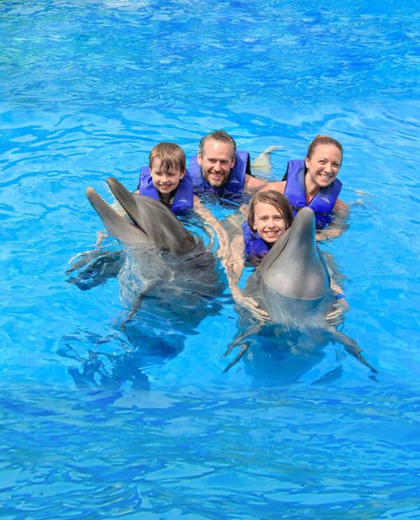 Dolphin Signature puerto vallarta